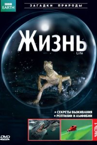 Сериал BBC: Жизнь (2009)