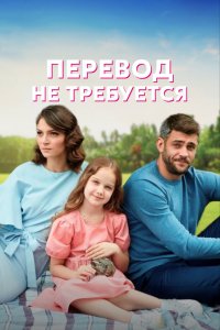 Сериал Перевод не требуется (2020)