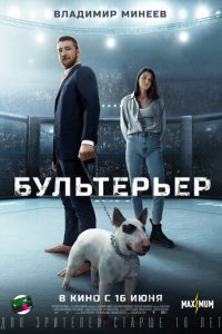 Фильм Бультерьер (2022)