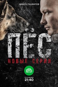 Сериал Пес (2015)