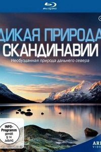 Сериал Дикая природа Скандинавии (2011)