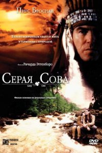 Фильм Серая сова (1998)