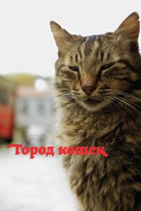 Фильм Город кошек (2016)