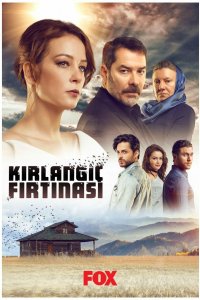 Сериал Шторм ласточки (2017)