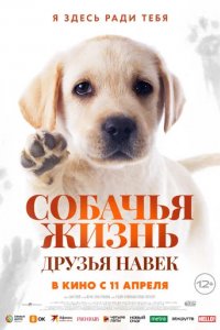 Фильм Всем любовь (2023)