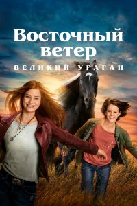 Фильм Восточный ветер. Великий ураган (2021)