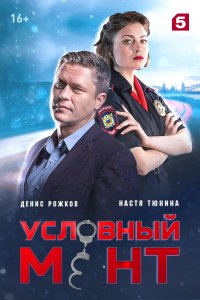 Сериал Условный мент (2019)