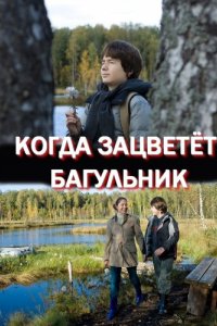 Сериал Когда зацветёт багульник (2010)