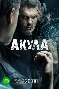 Сериал Акула (2021)