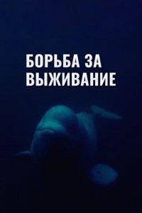 Сериал Борьба за выживание (2017)