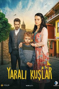 Сериал Раненые птицы (2019)