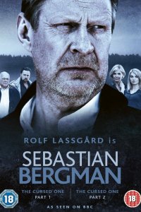 Сериал Себастьян Бергман (2010)