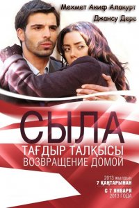 Сериал Сыла. Возвращение домой (2006)