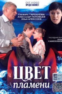 Сериал Цвет пламени (2010)