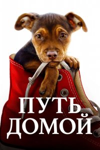 Фильм Путь домой (2019)