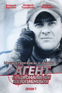 Сериал Агент национальной безопасности (1999)