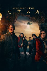 Сериал Стая (2022)