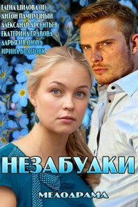 Сериал Незабудки (2013)