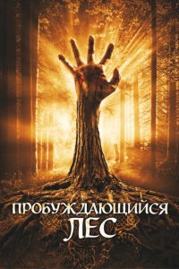 Фильм Пробуждающийся лес (2009)