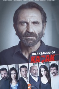 Сериал Беглец (2013)