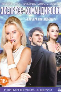 Сериал Экспресс-командировка (2016)