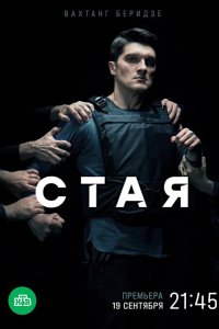 Сериал Стая (2022)