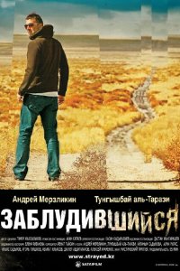 Фильм Заблудившийся (2009)