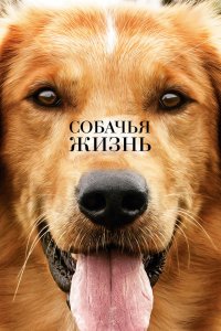 Фильм Собачья жизнь (2017)