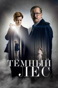 Сериал Тайна мертвого леса (2020)